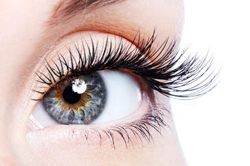Wimpern-Dauerwelle Wimpern-Dauerwelle